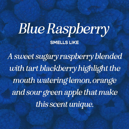 CANDECraftCo Premium Fragrance Oil – Diffuser Oils Fragrances Scented for Home, Candle Soap Making Supplies, Aromatherapy Blends for House (0.34 Fl Oz) (2-Pack, Blue Raspberry)