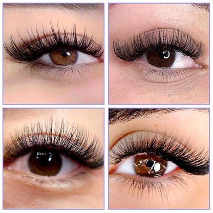 WEWNDY LASHES Rapid Blooming Eyelash Extensions - Volume Lashes 0.05 Thickness, C/D Curl, Easy Fan, 8-14mm Mixed, Self Fanning