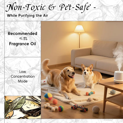 HIQILI Honey Fragrance Oil for Making Candle, Soap, Perfume, Warm Scents for Essential Oil Diffusers, Great for Home, Laundry - 5.07 Fl Oz