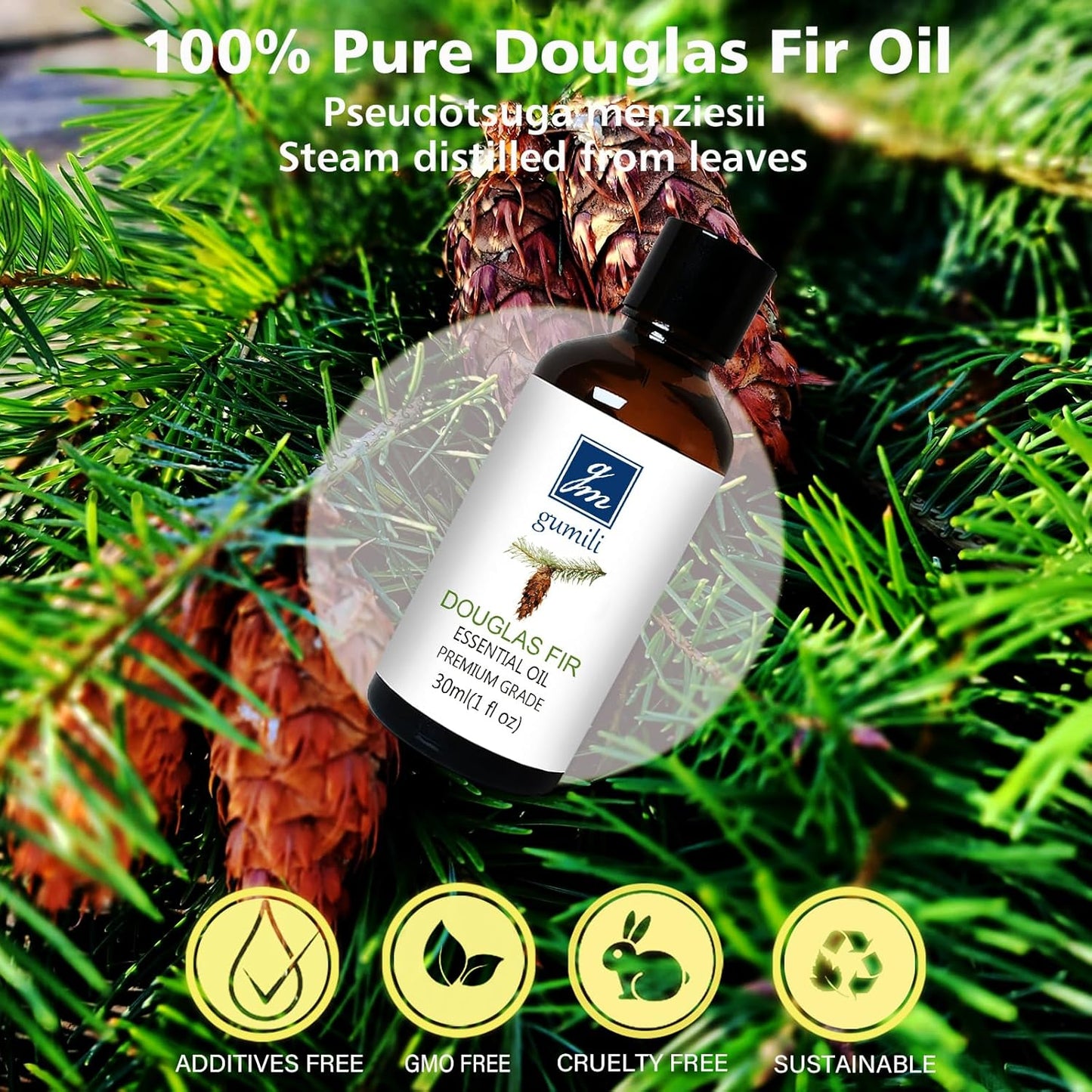 Douglas Fir Essential Oil, Scent Oil for Home Crafts, Household, Holiday - 30ml/1 fl oz