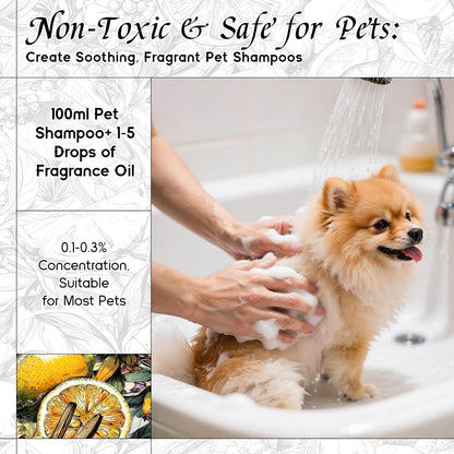 HIQILI Amber Soil Fragrance Oil for Diffuser, Inspired by H.er-mes T.erred' H, Perfume & Hair Perfume Mist Making - Citrus, Pepper & Woody Notes, Long-Lasting Scent - 1 Fl Oz