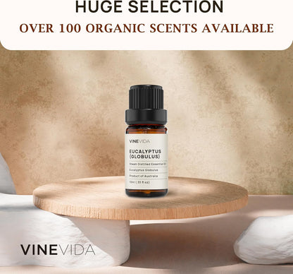 VINEVIDA Eucalyptus Essential Oil - 10 mL Undiluted - DIY Candle Scents - Safe for Skin