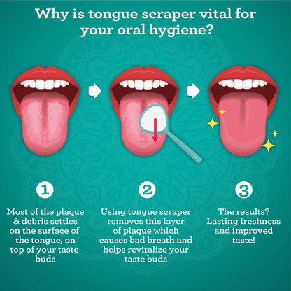 GuruNanda Spoon & U-Shaped Tongue Scraper Variety Pack (2 Pack) with Travel Case, 420 Medical Grade Stainless Steel, Promotes Fresh Breath & Oral Care