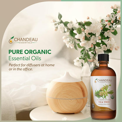 100% Pure Organic Essential Oil, Pure Tea Tree Essential Oil for Aromatherapy, Soap Making, Candles, Laundry, Perfume, Cleaners or Diffusers - Large Amber Glass Bottle, 16 oz.