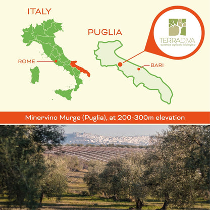 WellEatable Ultra High +1,500 mg/kg Polyphenol Rich Olive Oil, 2025 NYIOOC Gold, Early Harvest, Organic Extra Virgin Olive Oil from Italy, Lab Tested, Cold Extracted for Phenolic Shot, 16.9 fl oz