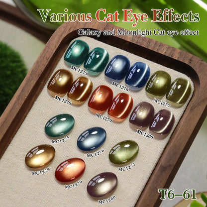 Double Rhythm Cat Eye Gel Nail Polish Set of 6 Same Color Same Bottle 0.5 Oz Shimmer Glitter with Magnet Holographic Reflective Magnetic UV Nail Polish Kit at Home (Green Navy Blue Black-T6-61)