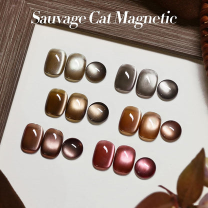 BORN PRETTY Magnetic Gel Nail Polish Water Light Cat Magnetic Eye Gel Brown SaU Vage Jelly Glass Crystal Magnetic Gel Polish Glitter Shimmer Auroras Magnetic Gel Nail Art Manicure Kit 6PCS