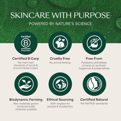 Weleda - Skin Food Light Moisturizing Cream 3-pack - Fast-Absorbing, Ultra-Hydrating Formula with Sunflower Oil and Pansy Extract