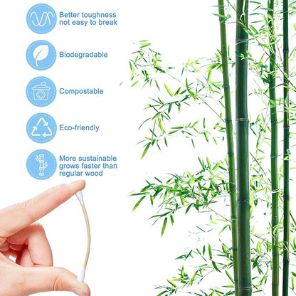 Eyxformula 300 pcs cotton swabs