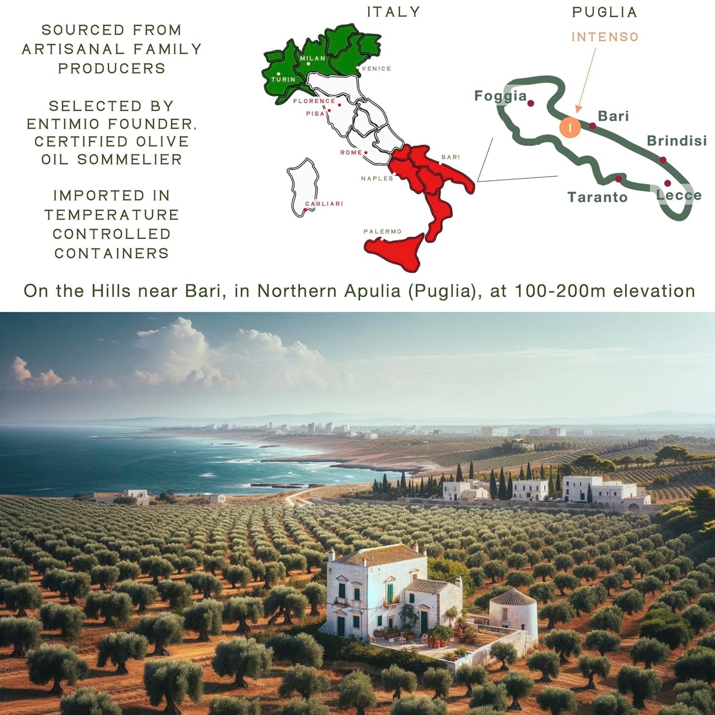 Entimio Intenso +900 mg/kg Polyphenol Rich Organic Extra Virgin Olive Oil, New 2024-2025 Early Harvest Italian Olive Oil from Puglia, Italy, 2025 Gold Winner, Cold Extracted, Lab Tested - 16.9 fl oz