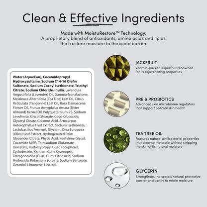 Jupiter Hydrating Shampoo – Moisturizing, Nourishing, and Strengthening Hair Care – Smooths, Revives, Enhances Shine – Color-Safe, Sulfate-Free, Paraben-Free, 9.5 fl. oz.