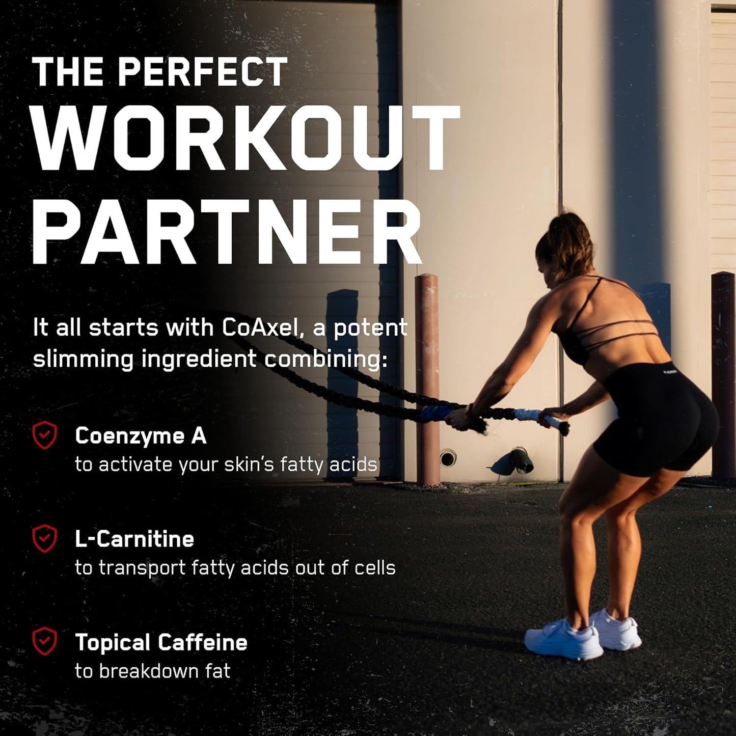 SteelFit Abs of Steel Maximum Definition Cream - Skin Tightening, Toning & Firming Lotion for Sculpting Abs - L-Carnitine Pre & Post Workout Supplement for Men & Women - Non-Greasy Formula, 3.4 Ounces