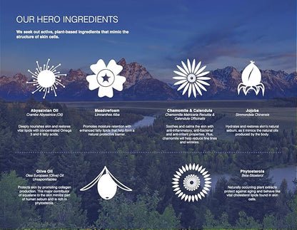 Trilipiderm Essential Body Regimen Bundle