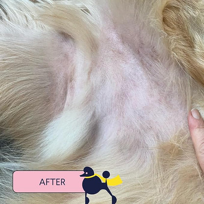 Finn skin hero | revitalizing