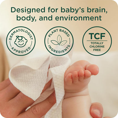 Our Wet Wipes | EWG Verified Safe | 100% Water & Plant Based | Unscented & Safe for Sensitive Skin | Fragrance Free and Totally Chlorine Free (8 packs, 512 wipes)