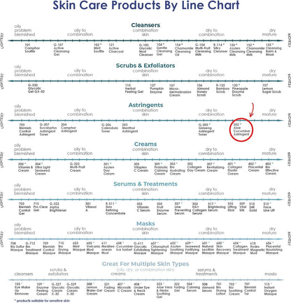 RAYA Aloe Cucumber Astringent 16 oz (202) | Gentle Pore Tightening and Smoothing Facial Toner for Dry and Sensitive Skin | Helps Refine, Cool, and Sooth | Smooths Complexion When Used Before Make-Up