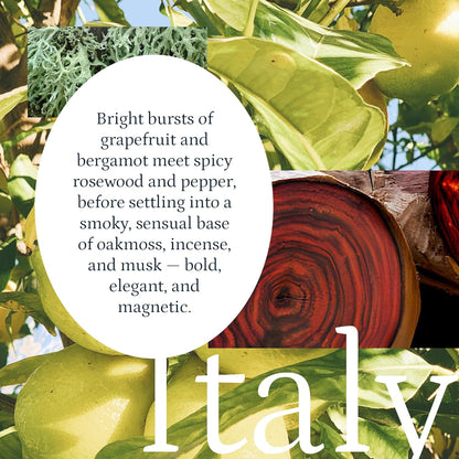 PuroSentido Italy Aroma Oil (10 ml) - Luxury Fragrance Oil for Diffusers and Humidifiers, Sicilian Lemon, White Rose & Musk Home, Hotel & Spa Scent