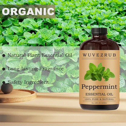 Peppermint Essential Oils 480ML- Pure and Natural Peppermint Essential Oil for Aromatherapy Diffuser,Soap Making & DIY - Peppermint /16 Fl Oz