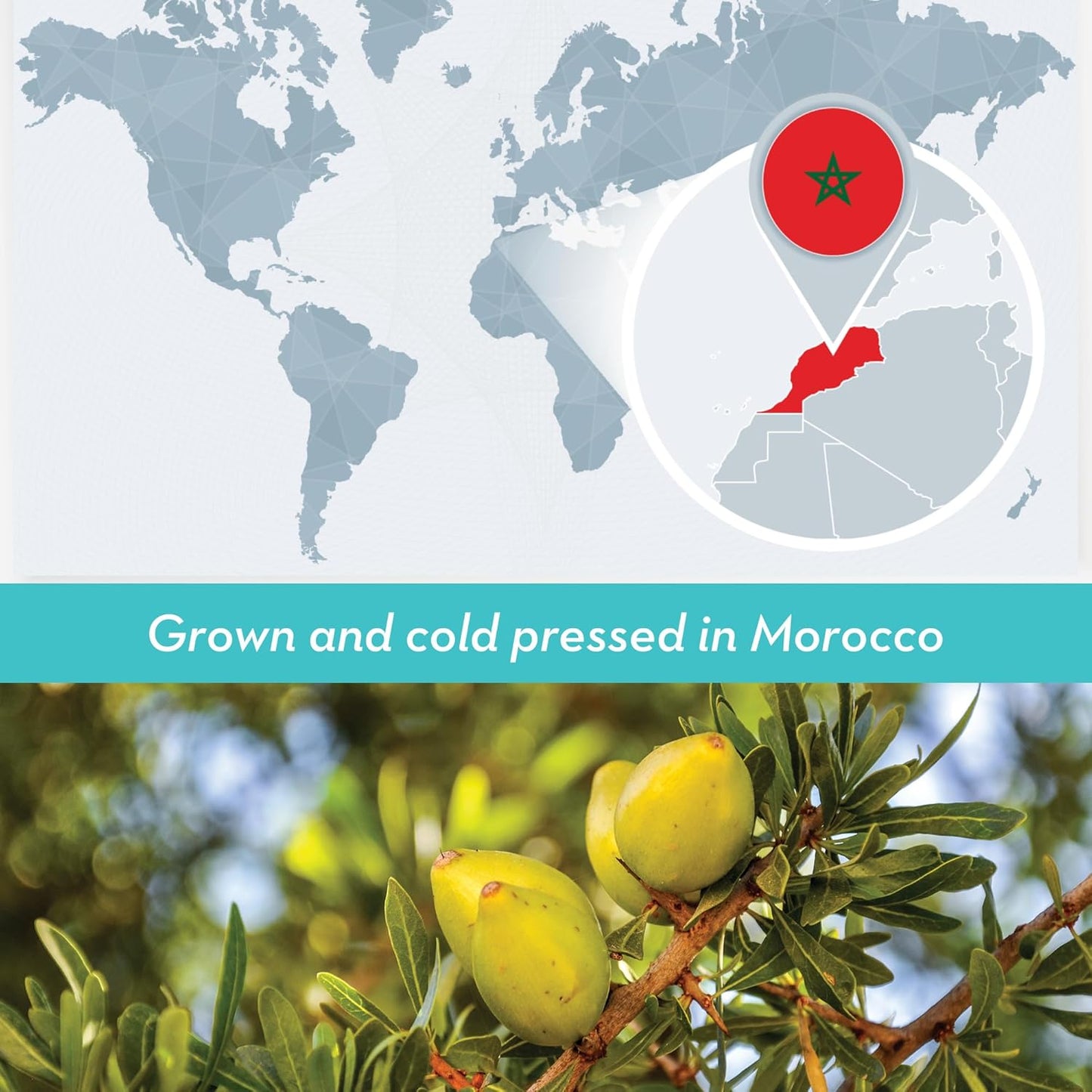 Bulk Argan Oil - 4 Fl Oz Large Size Bottle - Natural, Cold Pressed, 100 Percent Pure Argan Oil for Homemade Hair, Face and Skin Products - Light Aceite de Argan Carrier Oil