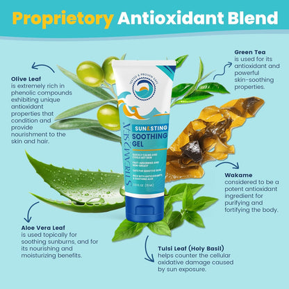 STREAM 2 SEA Sun & Sting Soothing Aloe Gel, Organic Aloe Vera Gel for Face & Body, After Sun Care & Sunburn Relief - Pack of 3