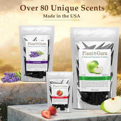 Frankincense Charcoal Incense Cones 2" BACKFLOW - 60 Pack Bulk - Natural Scented Cones Handmade Hand Dipped