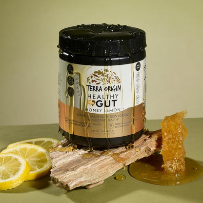 TERRA ORIGIN Healthy Gut Powder (Honey Lemon) | 30-Servings with L-Glutamine, Zinc, Glucosamine, Slippery Elm Bark and More!
