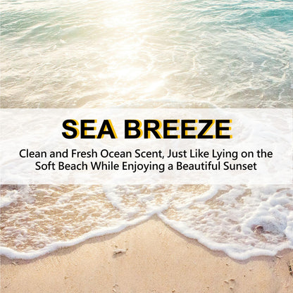 Large 12 Packs Sea Breeze Hanging Closet Deodorizer Air Freshener Long Lasting Scented Sachets Smell Goods for House