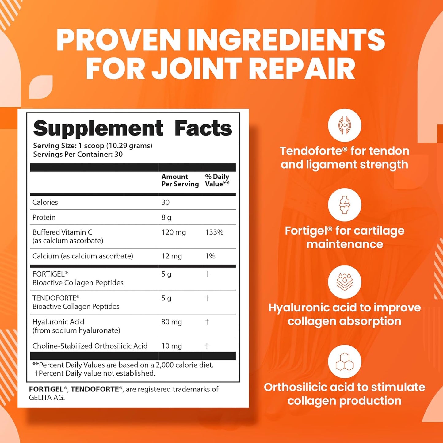 SaltWrap Collagen Synthesis - Collagen Peptides for Joints with Fortigel, Tendoforte, Best Collagen Powder for Tendons, Ligaments, and Cartilage Recovery and Repair, NSF Certified for Sport
