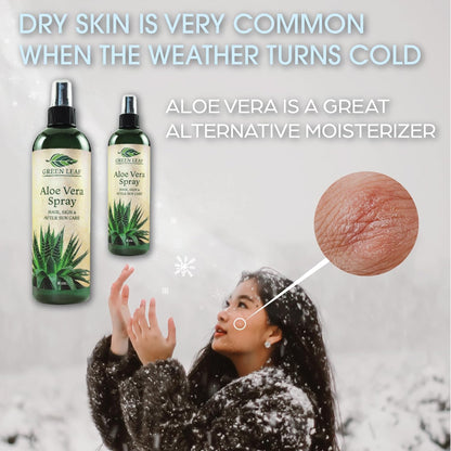 Aloe Vera Spray Bottle Travel Size | Vitamin C, E & A | Skin Care, Hair Spray, Facial Moisturizer, Hair Growth, Facial Cleanser, Sunburn Relief & After Sun Lotion 3.3oz