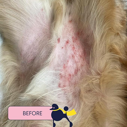 Finn skin hero | revitalizing