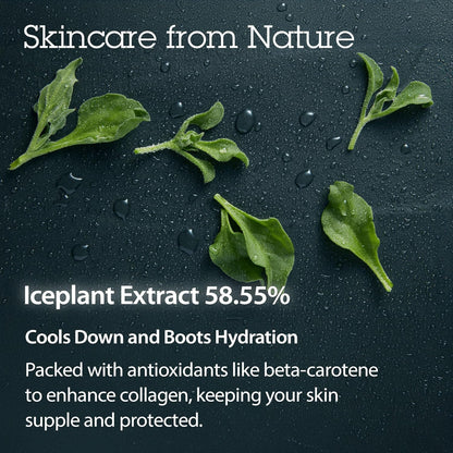 BLITHE Pressed Serum Crystal Iceplant Face Moisturizing Gel - Kbeauty Best Skin Cream for Dry Skin, Korean Serum for Combination Skin & Redness Relief, Face Moisturizer for Dry Skin Cream 0.91 Oz