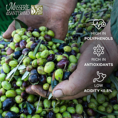 Delicate Italian Extra Virgin Olive Oil Cold Pressed - Light Olive Oil for Cooking and Frying, Imported from Italy - Masserie di Sant'Eramo - 25.5 Fl Oz (Pack 1)