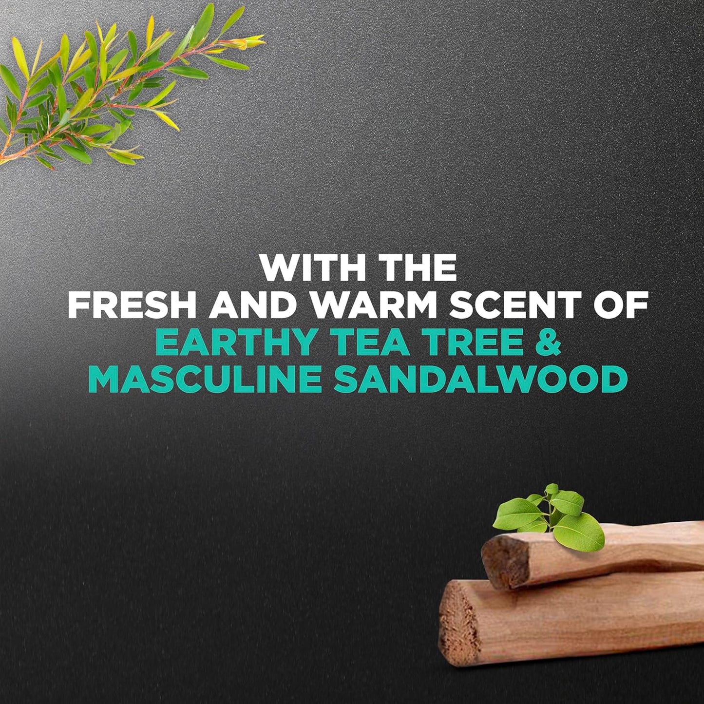 DOVE MEN + CARE Body and Face Wash Invigorating Revive 3N1 with Tea Tree Oil, with 24-Hour Nourishing Micromoisture Technology, 30 oz