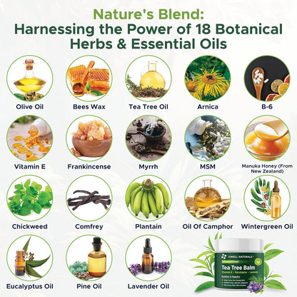 OWELL NATURALS Tea Tree Balm Oil with Vitamin E for Itchy, Dry, Flaky and Cracked Skin, Athletes Foot, Hands, Rashes, Bee Stings, Splinters, Poison Ivy, Insect Bites, Cuts and Burns, (1 Pack)