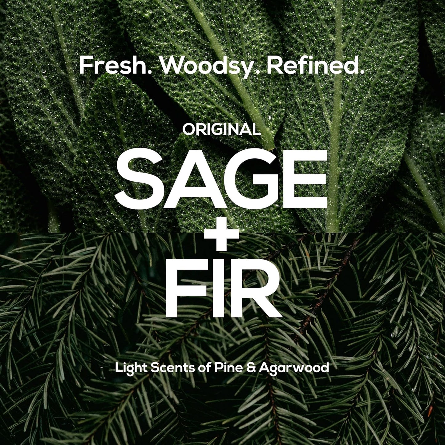 MARLOWE. No. 122 Facial Scrub 6 oz, Gentle Face Exfoliator with Apricot Seed Powder & Pumice, Cleanses & Smooths, Fresh Pine & Agarwood Scent