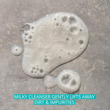 Aveeno Calm + Restore Nourishing Oat Face Cleanser for Sensitive Skin, Gentle Milky Cleanser with Nourishing Oat & Feverfew, to Preserve Skin's Moisture Barrier, Fragrance-Free, 7.8 fl. oz