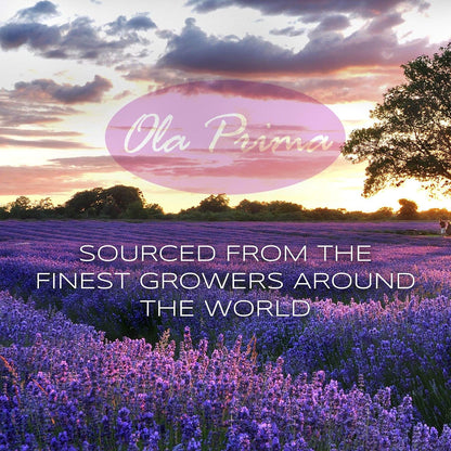 Ola Prima Oils - Orange Essential Oil (16oz Bulk) Therapeutic Grade for Aromatherapy, Diffuser, Relaxation, Calming